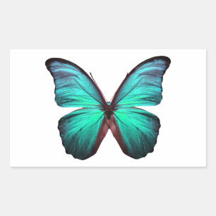 Pegatina Rectangular Mariposa Verde azulada brillante