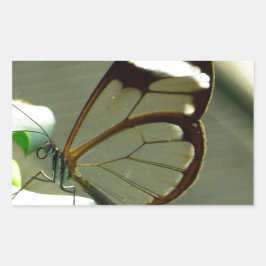 Pegatina Rectangular Marrón sorprendente y mariposa translúcida