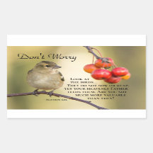 Mateo 6:26 Verso de la Biblia, no te preocupes