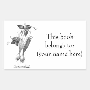 Pegatina Rectangular Matrícula de flores de tigre de época