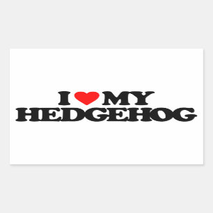 PEGATINA RECTANGULAR ME ENCANTA MI HEDGEHOG