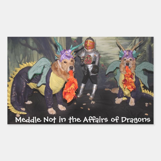 Pegatina Rectangular Medalla Dragons de Golden Retriever no (Anverso)