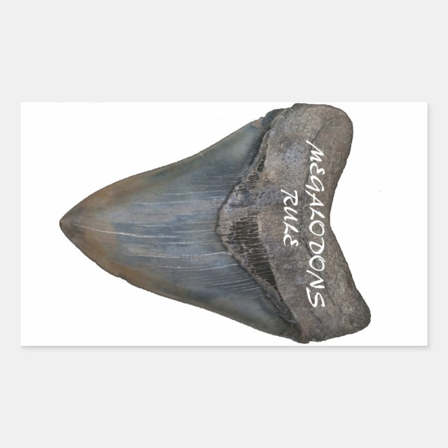 Pegatina Rectangular Megalodon Shark Tooth (Anverso)