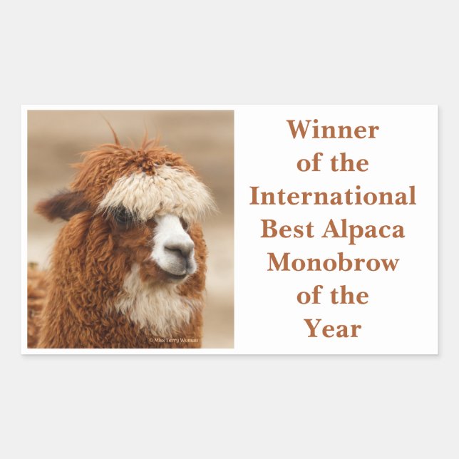 Pegatina Rectangular Mejor Ceja Única de Alpaca (Anverso)