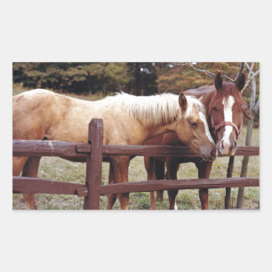 Pegatina Rectangular Mejores amigos