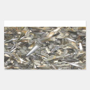 Pegatina Rectangular Modelo fósil de los dientes del tiburón