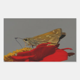 Pegatina Rectangular Modos y zinnia roja