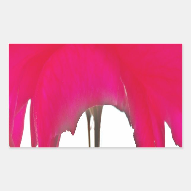 Pegatina Rectangular Momento capturado: Elegancia de Petal de Rosa Roja (Anverso)