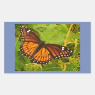 Pegatina Rectangular Monarca Naranja