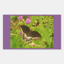 Pegatina Rectangular Monarca negra violeta morada