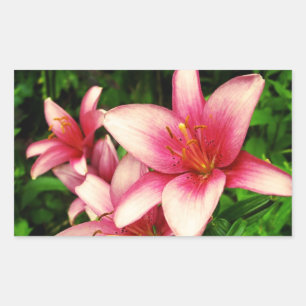 Pegatina Rectangular Moneymaker Lily