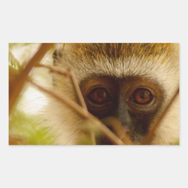 Pegatina Rectangular Mono Cheeky. (Anverso)