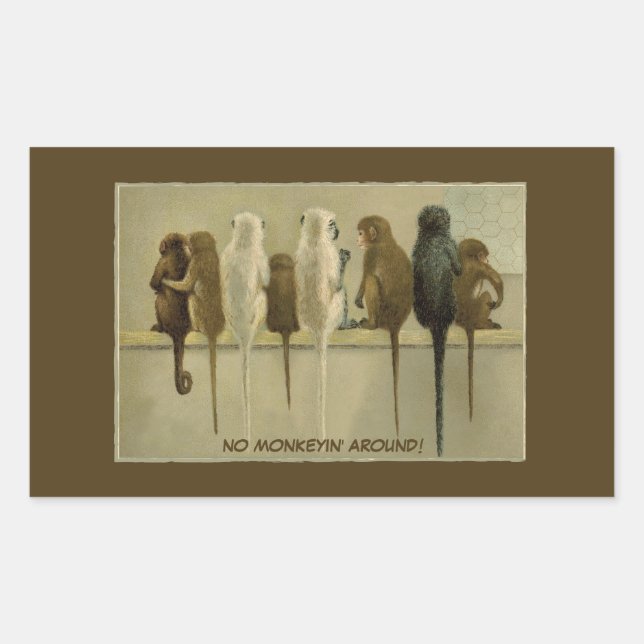 Pegatina Rectangular Monos Cumpleaños Comercial Del Grupo Personalizado (Anverso)