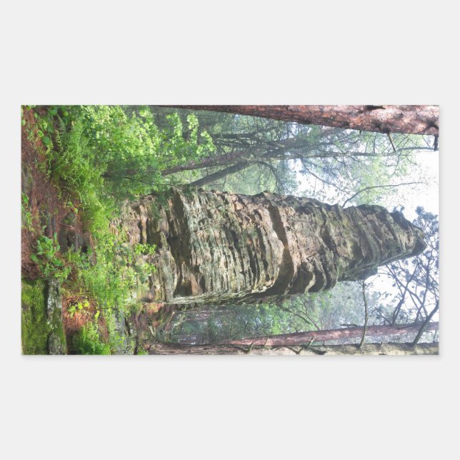 Pegatina Rectangular Montaña castellada en bosque estatal (Anverso)