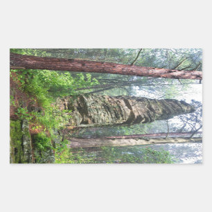 Pegatina Rectangular Montaña castellada en bosque estatal
