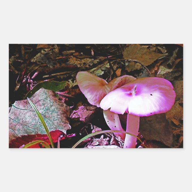Pegatina Rectangular Mushroom rosa (Anverso)