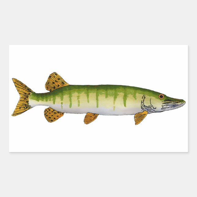 Pegatina Rectangular Muskellunge (Muskie) (Anverso)
