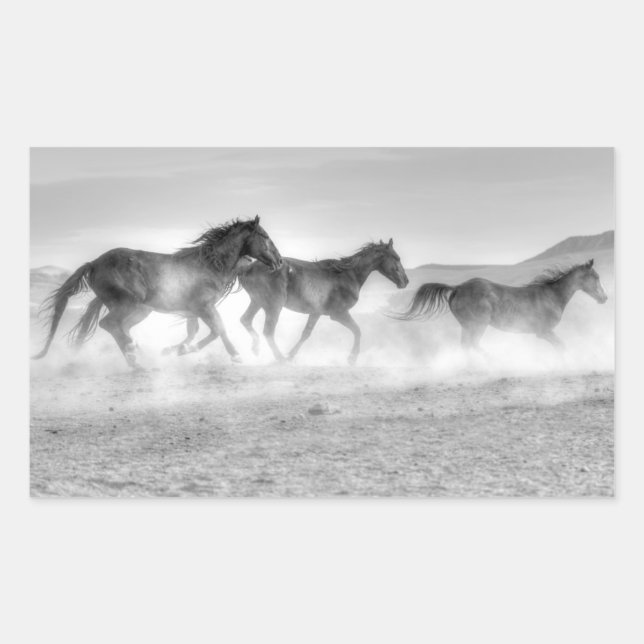 Pegatina Rectangular Mustang Run (Anverso)