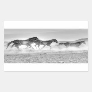 Pegatina Rectangular Mustang Run