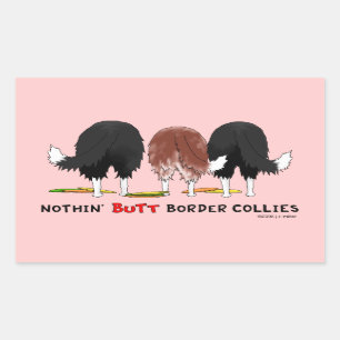 Pegatina Rectangular Nada empalma borderes collies
