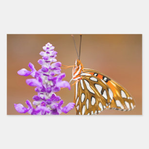 Pegatina Rectangular Naranja brillante mariposa fritillera del Golfo