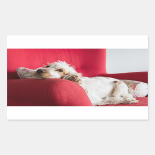Pegatina Rectangular naranja de ecs y chillin blanco