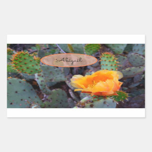 Pegatina Rectangular Naranja Flor Cactus Blossom Opuntia Pear Rápidamen