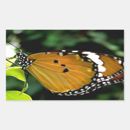 Pegatina Rectangular Naranja, mariposa negra y blanca en hojas
