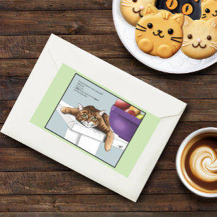 Pegatina Rectangular Naranja Tabby Tratamientos Cutos