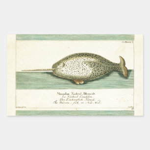 Pegatina Rectangular Narwhal Antiguo Whale Watercolor Arte Científico