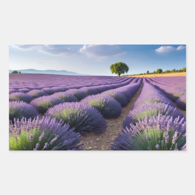 Pegatina Rectangular Naturaleza de Lavanda Paisaje al aire libre Tranqu (Anverso)
