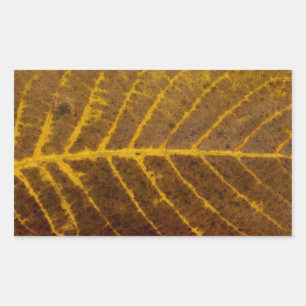 Pegatina Rectangular naturaleza del fondo del patrón de textura de hoja