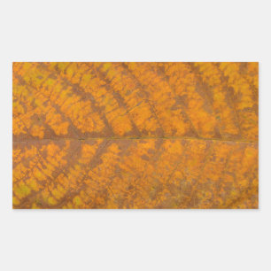 Pegatina Rectangular naturaleza del fondo del patrón de textura de hoja