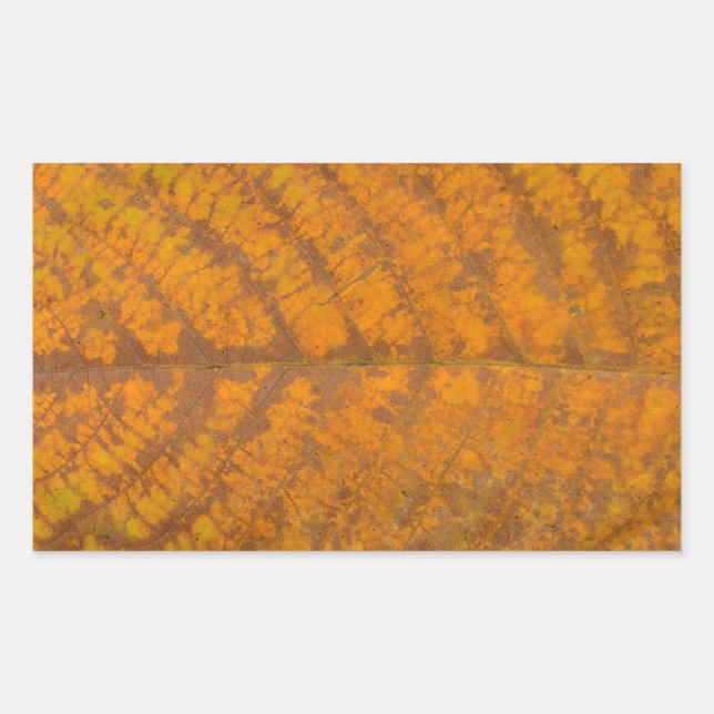 Pegatina Rectangular naturaleza del fondo del patrón de textura de hoja (Anverso)