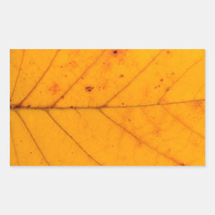 Pegatina Rectangular naturaleza del fondo del patrón de textura de hoja