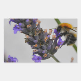 Pegatina Rectangular Naturas trabajadores maravillosos