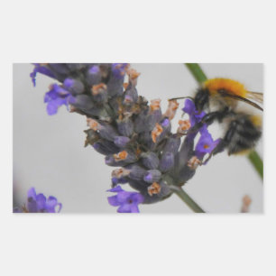 Pegatina Rectangular Naturas trabajadores maravillosos