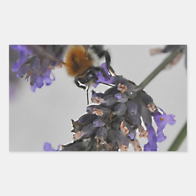 Pegatina Rectangular Naturas trabajadores maravillosos (Anverso)