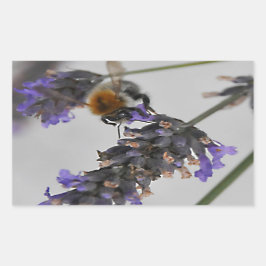 Pegatina Rectangular Naturas trabajadores maravillosos