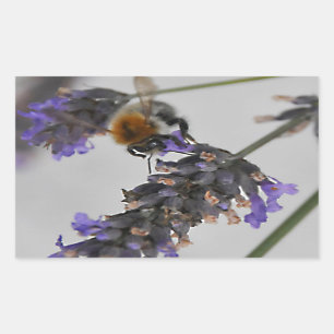 Pegatina Rectangular Naturas trabajadores maravillosos