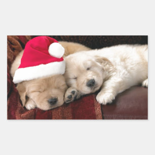 Pegatina Rectangular Navidades de Cachorros