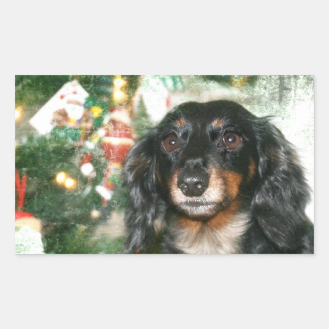 Pegatina Rectangular Navidades de Dachshund (Anverso)