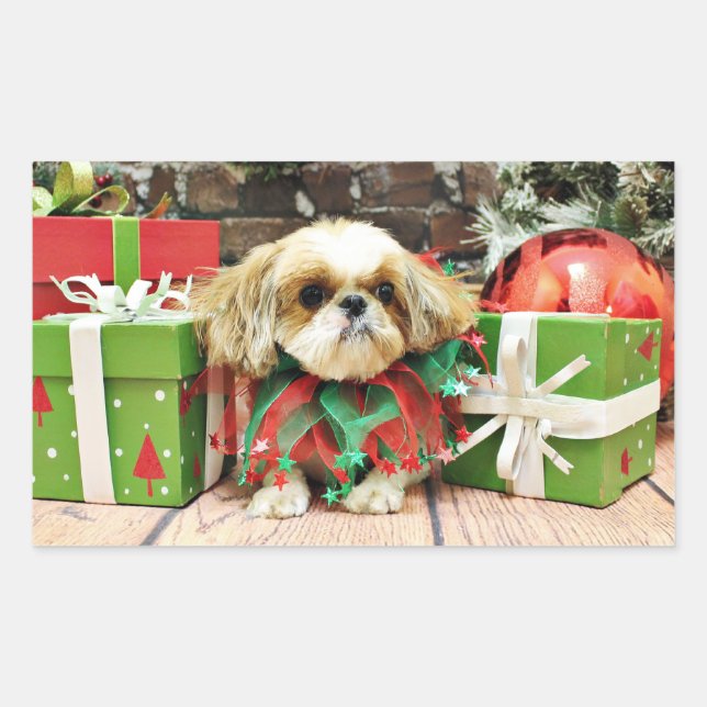 Pegatina Rectangular Navidades - Shih Tzu - Earl (Anverso)