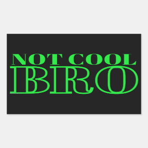 PEGATINA RECTANGULAR NO GUAY BRO