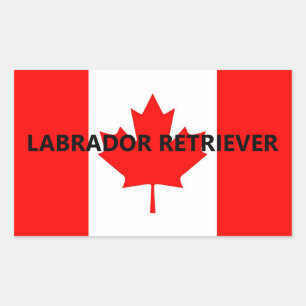 Pegatina Rectangular Nombre de Labrador Retriever en la bandera