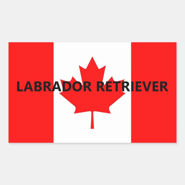 Pegatina Rectangular Nombre de Labrador Retriever en la bandera (Anverso)