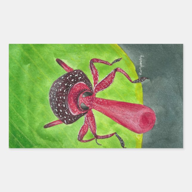 Pegatina Rectangular Nosy (Anverso)