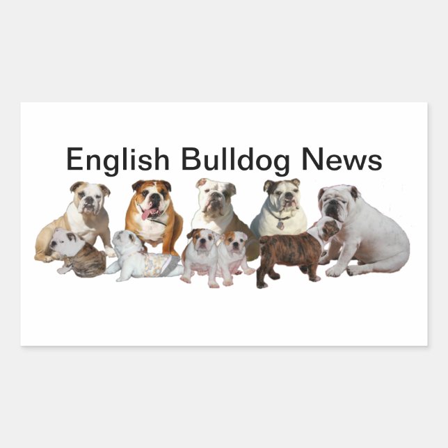 Pegatina Rectangular Noticias de Bulldog en inglés (Anverso)