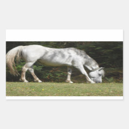 Pegatina Rectangular Nuevo pastoreo en poni de bosque