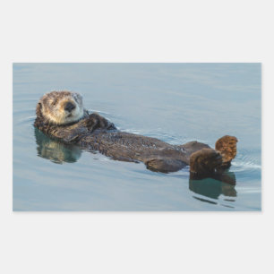 Pegatina Rectangular Nutria marina flotando de espaldas en el océano